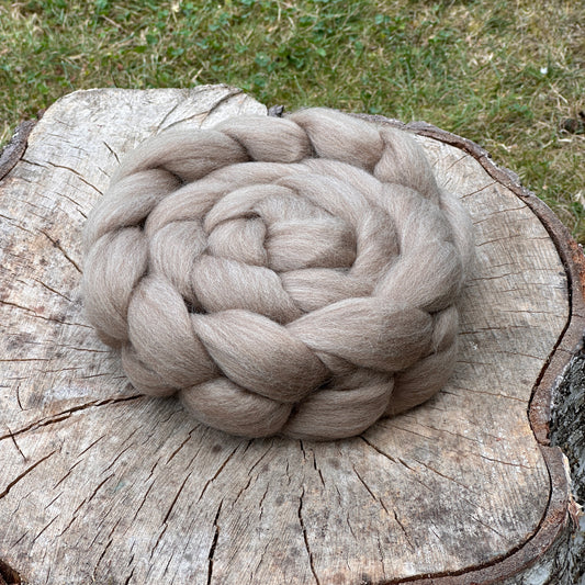 Haunui wool - fine - Fudge 22,8 micron